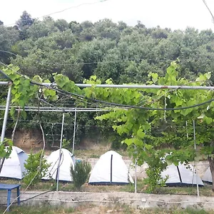 https://camping-jungle-in-borsh.albaniahotels.org